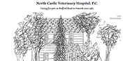 North Castle Veterinary Hostpital website
